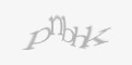Защитный код